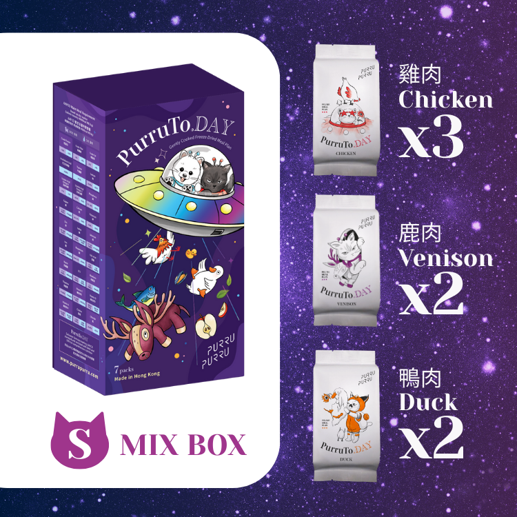 PurruTo.DAY gently cooked mixed flavors freeze dried complete meal box set for cats - Hong Kong made AAFCO nutrition