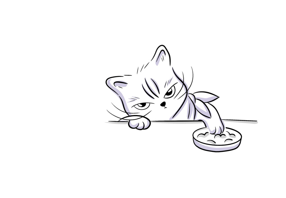 cat zone