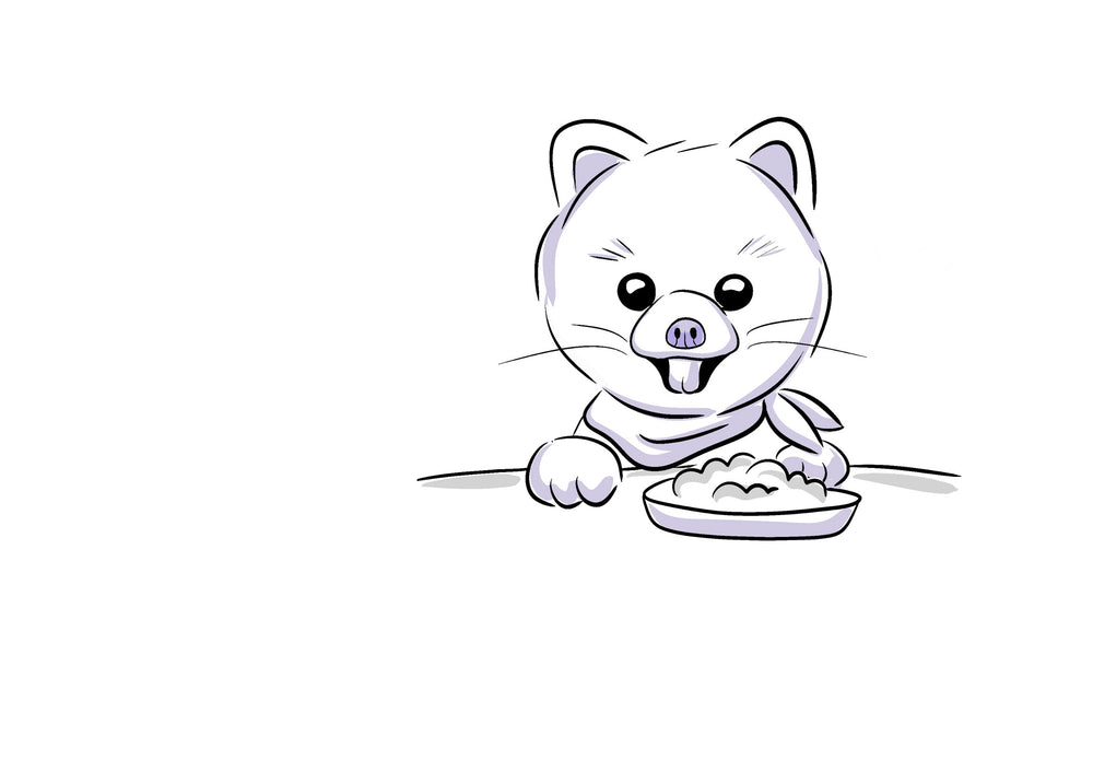 dog zone