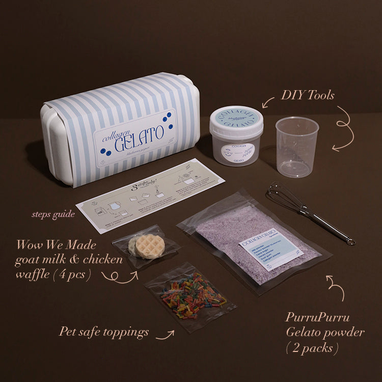 Collagen Gelato DIY Kit for dogs and cats, blueberries yogurt flavor